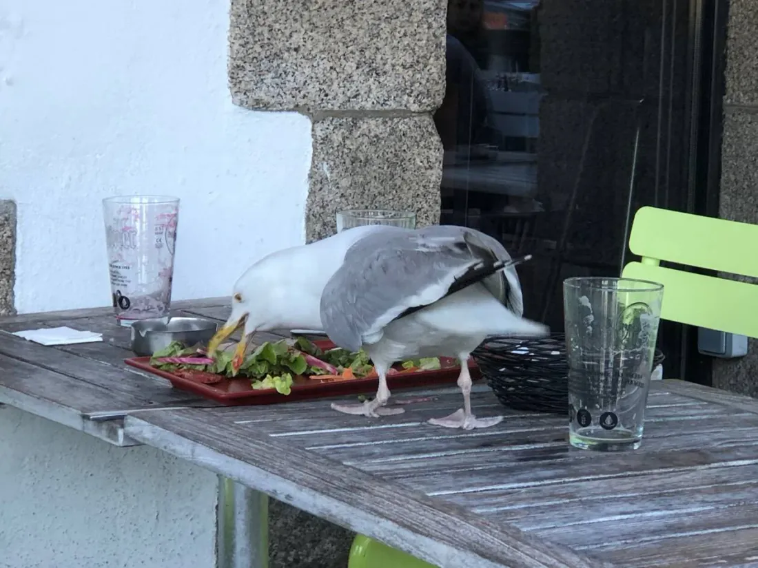 Archive Ouest France