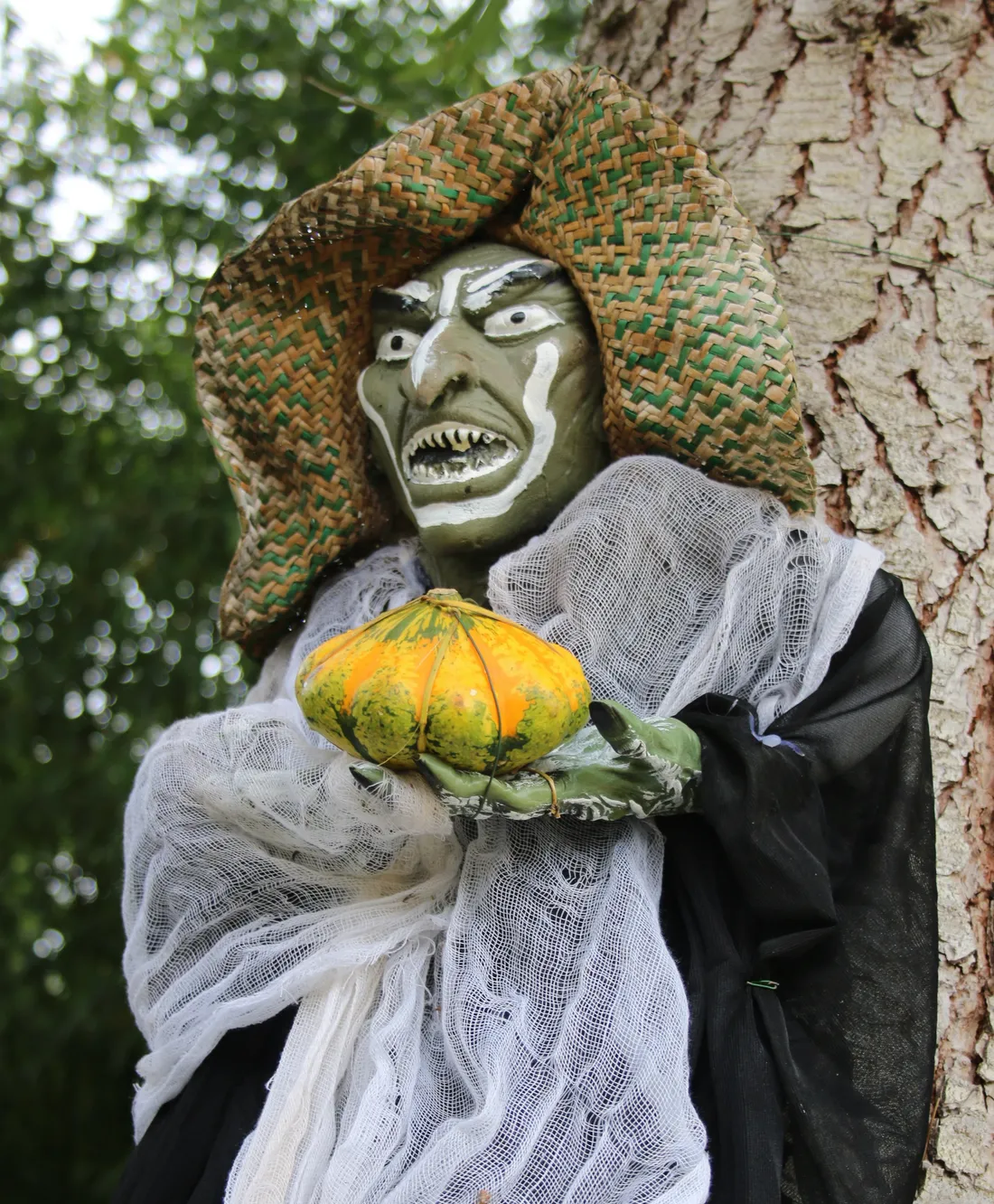 Tropical Parc - Halloween