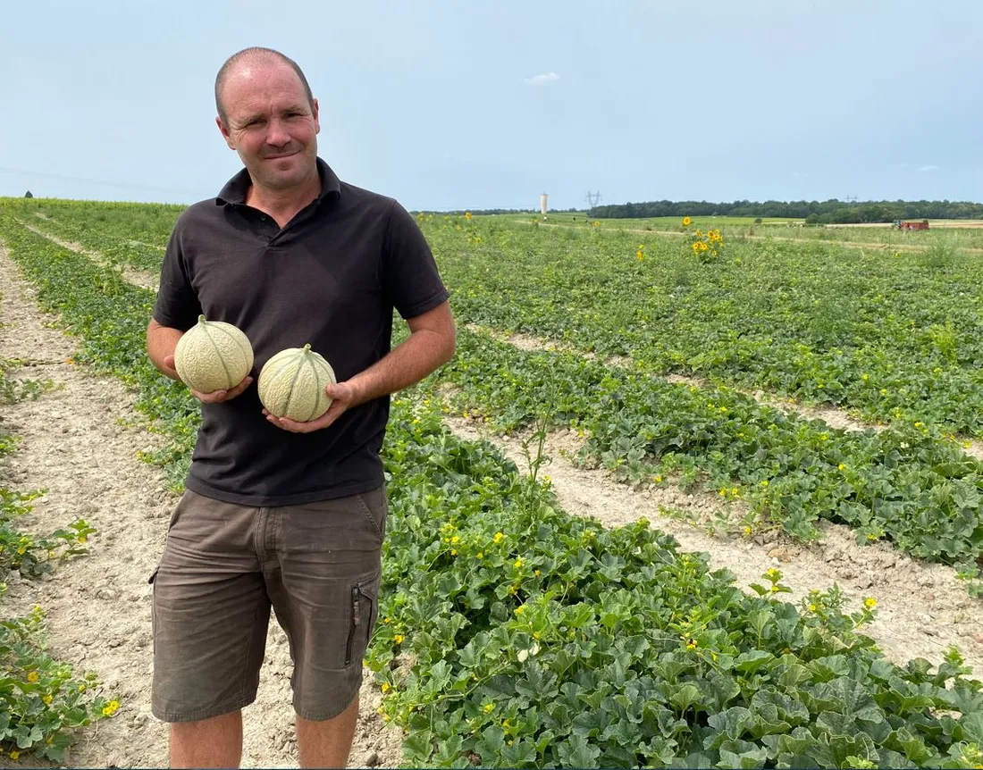 Julien Godet, producteur de melons "Le Prieuré de la Dive"
