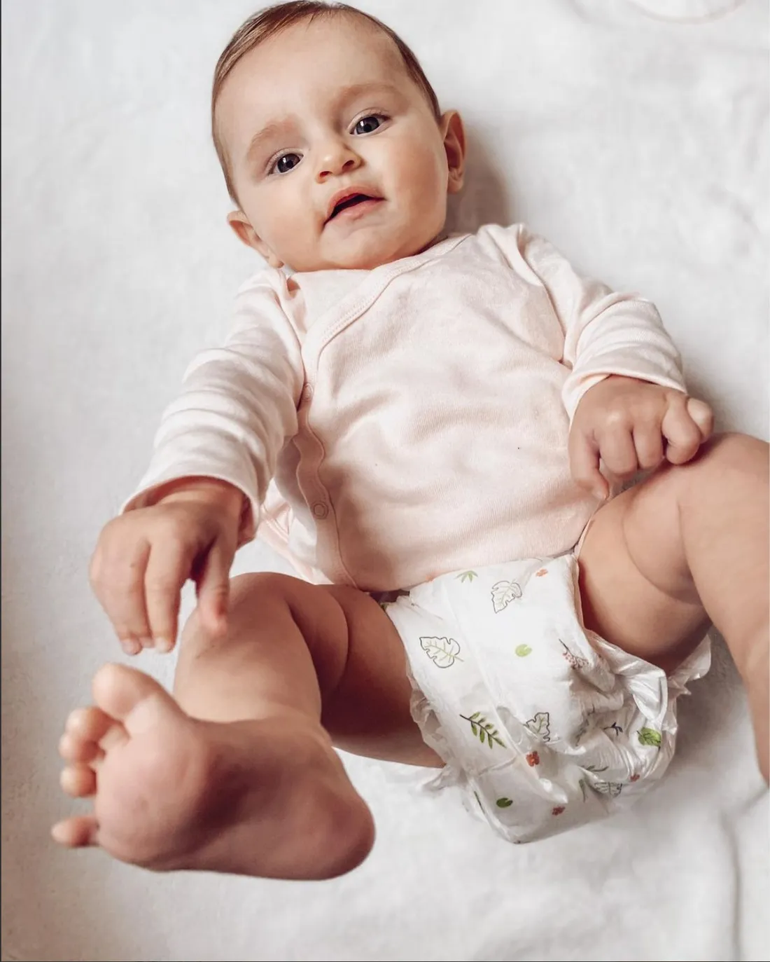 Les Petits Culottés