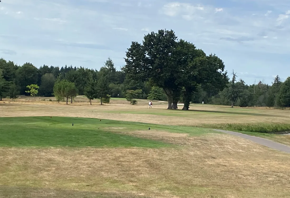 Le golf de Cicé-Blossac à Bruz, en août 2022