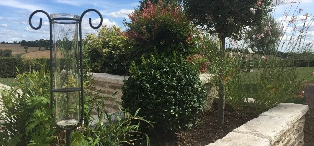 Archives sécheresse