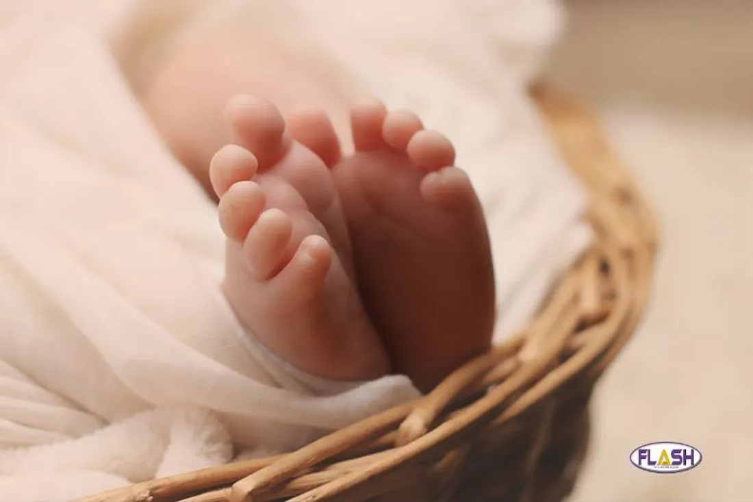 Carnet rose 1er janvier 2024 - 0201.2024 FLASH FM