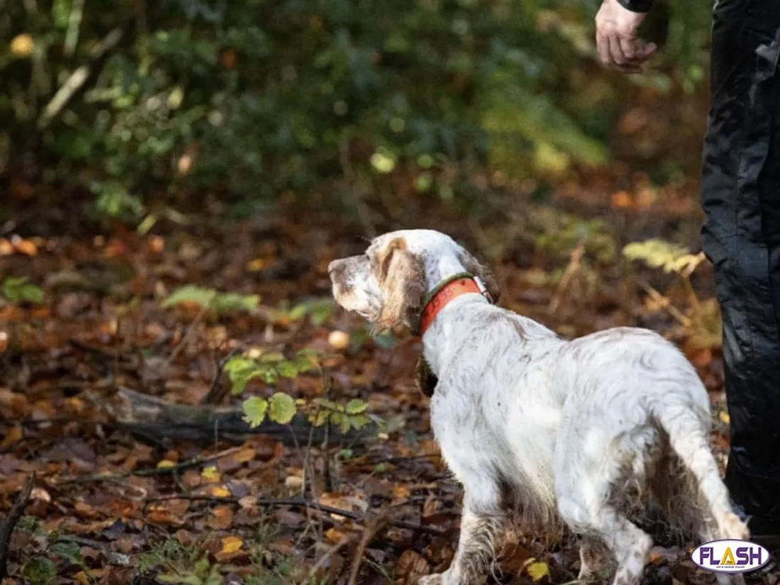 Ouverture de la chasse 14 septembre 2025 Haute-Vienne Limoges Maison de la nature sécurité permis 