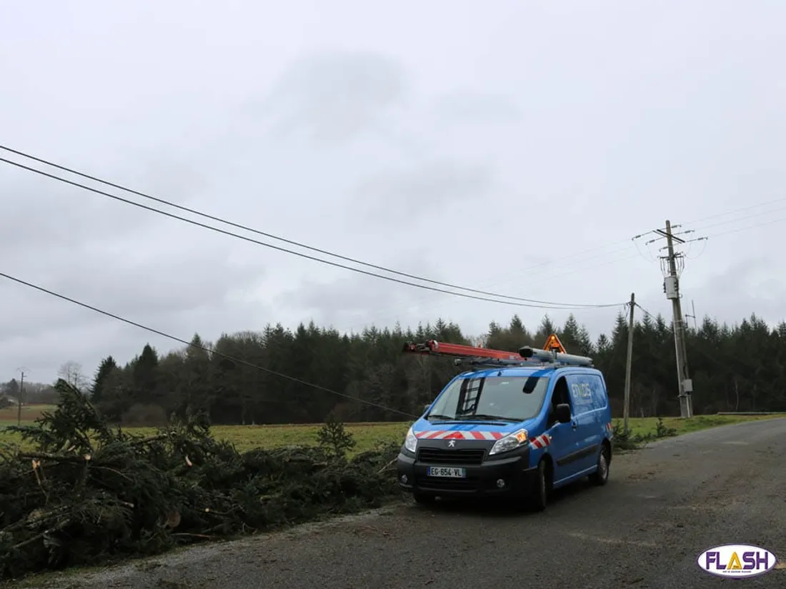Tempete Nils Enedis électricité coupure Limoges Limousin Haute-Vienne Corrèze Creuse vent arbres 