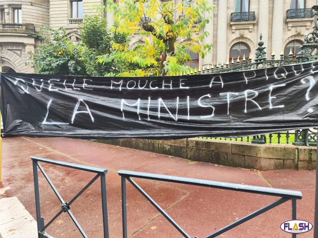 FDSEA Haute-Vienne Limoges Manifestation Limoges circulation des bovins agriculture