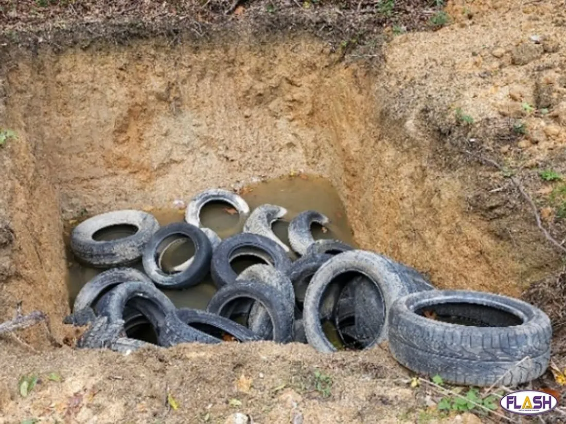 Gendarmerie Environnement 12 février 2025