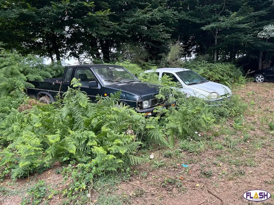 gendarmerie procureur république Limoges St Léonard de Noblat atteinte à l'environnement carcasses 