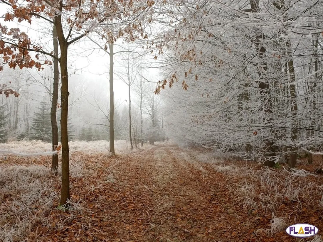 Creuse plan grand froid Temps frais hébergements d'urgence samu social 115 personnes vulnérables