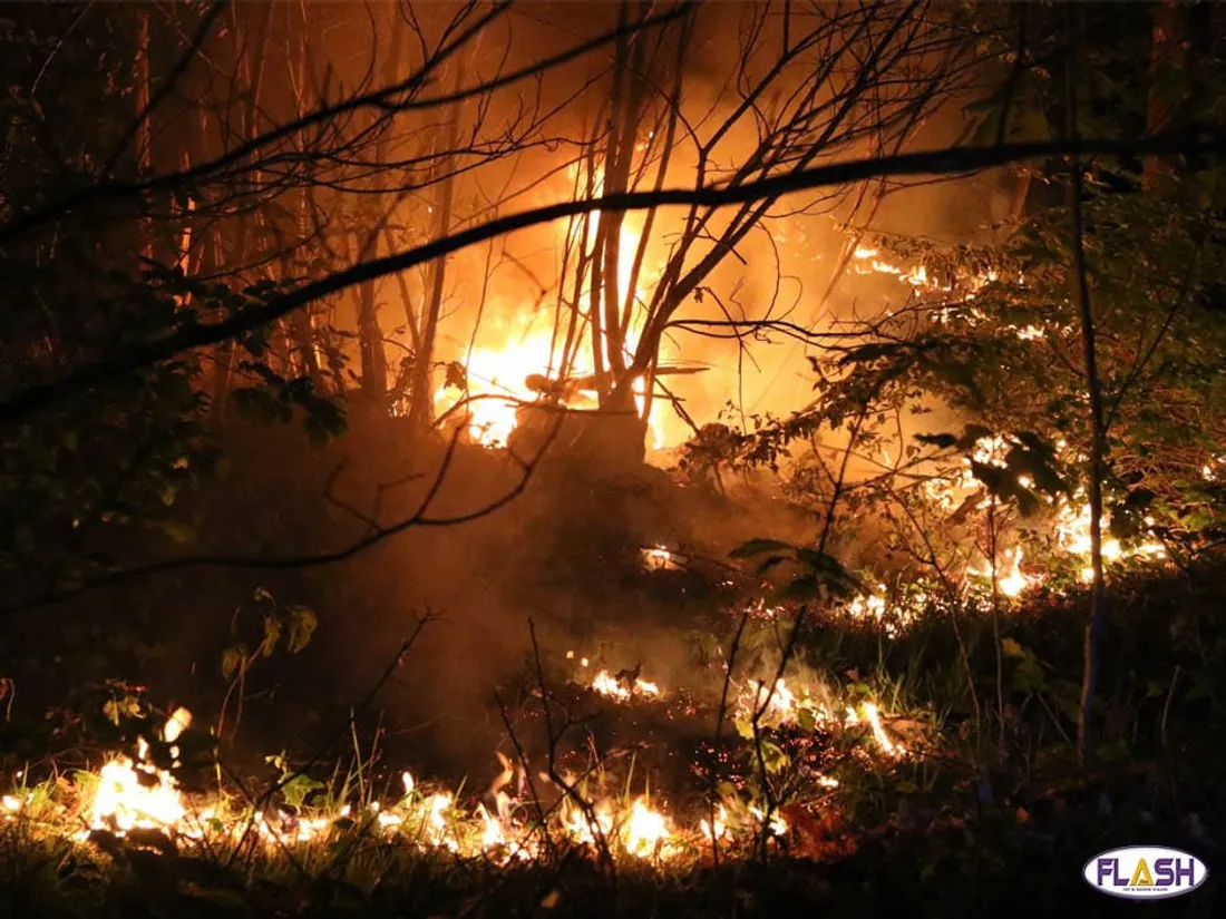 pompiers SDIS 87 incendie Zénith Limoges Métropole Bois Bastide 1 hectare détruit flammes