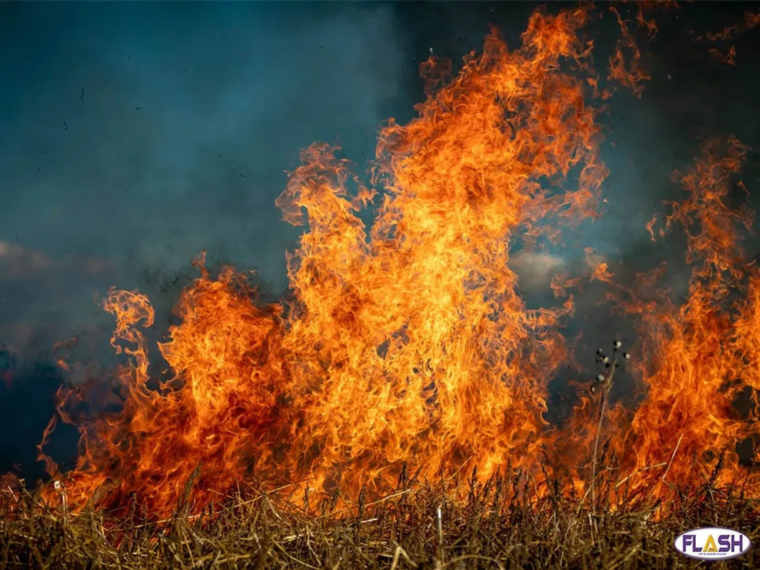 Incendies Gironde Landes Haute-Vienne Creuse Corrèze Creuse renforts évacuations SDIS 87 19 23 