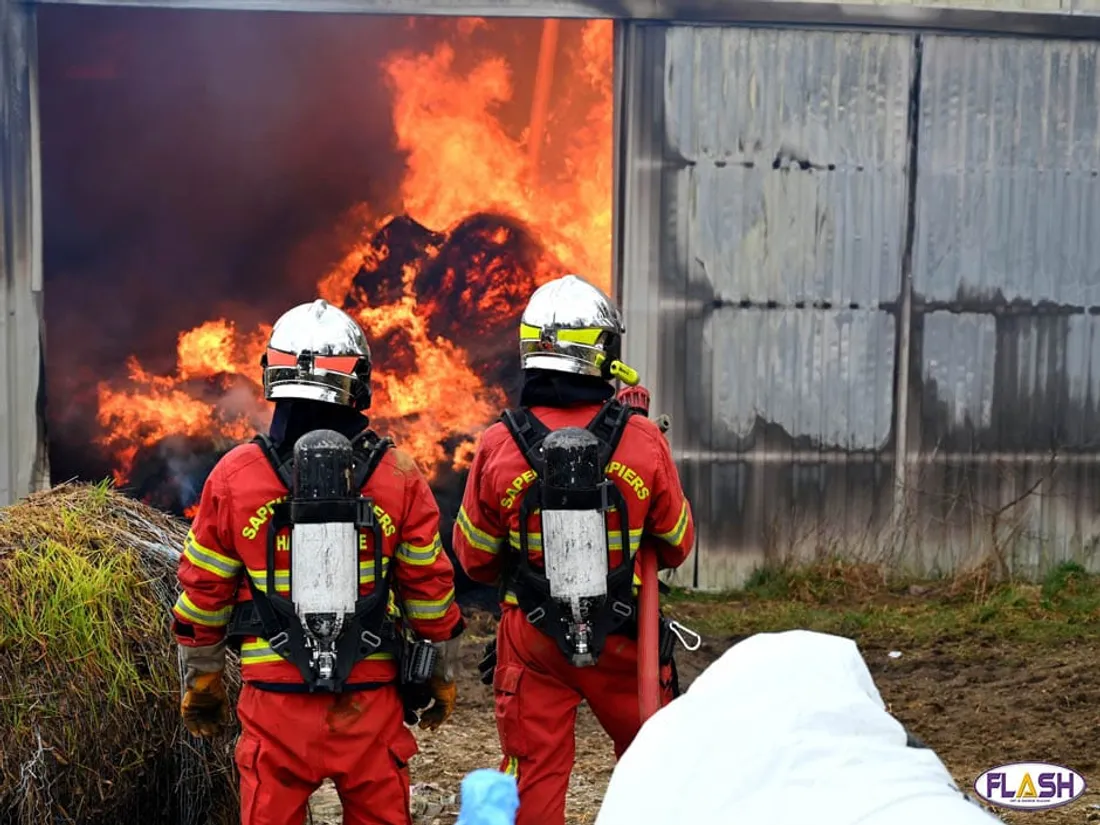 Incendie hangar agricole St Bonnet sur Briance pompiers SDIS 35 vaches sauvées flammes bovins