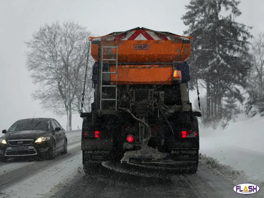 Saleuse neige 19 novembre 2024