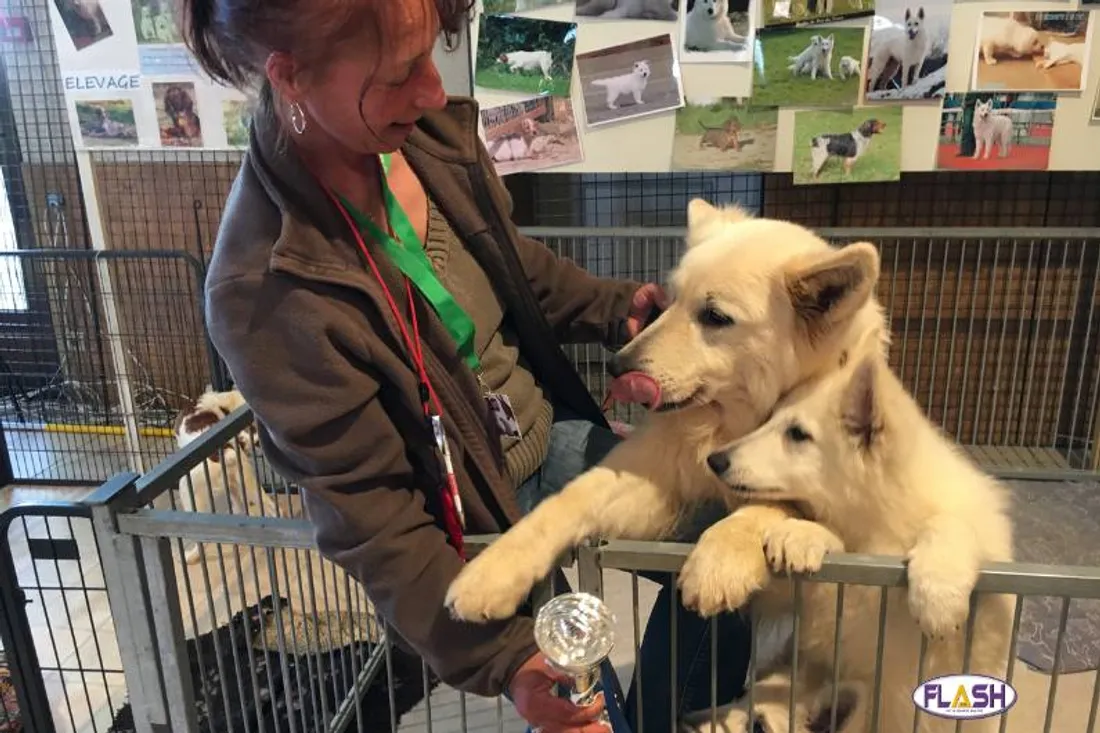 Salon des animaux et du bien être animal à Limoges - 24-04-2024 FLASH FM