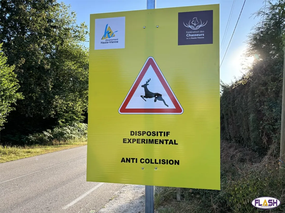 Système anti collision 28 aout 2024