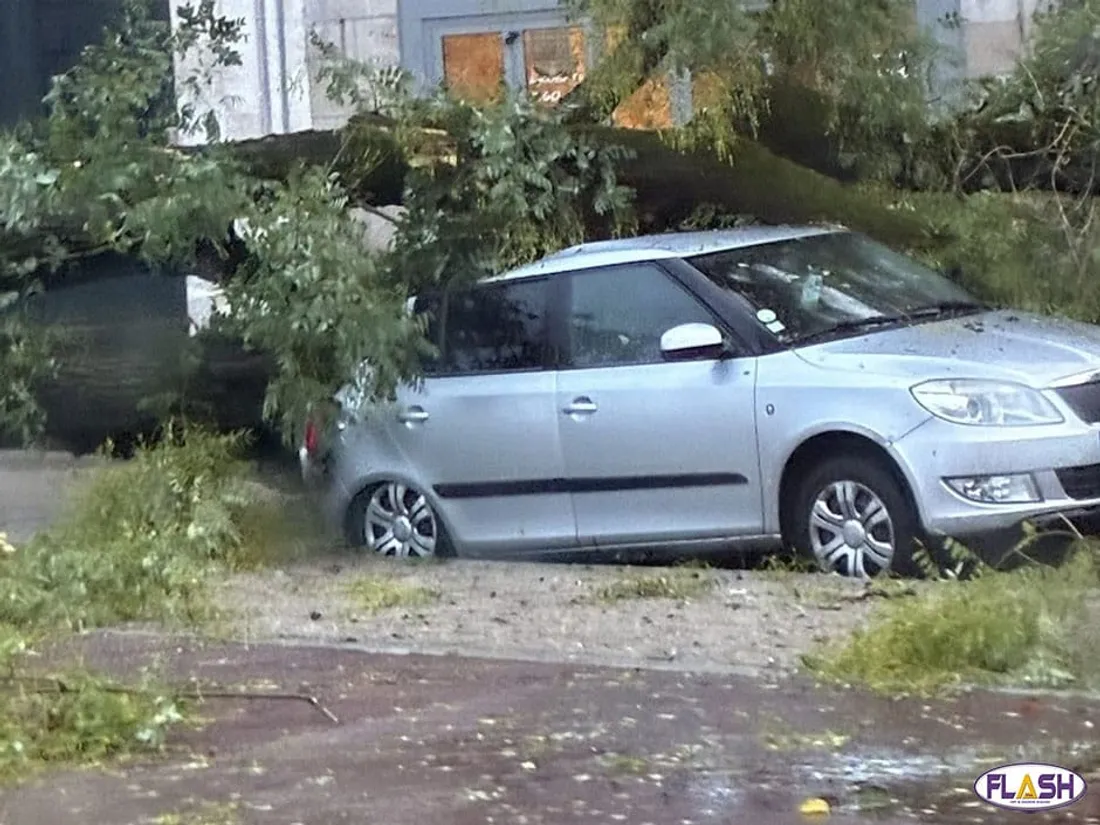 Tempête Benjamin dégâts Limoges Haute-Vienne Foyers privés d'électricité arbres tombés