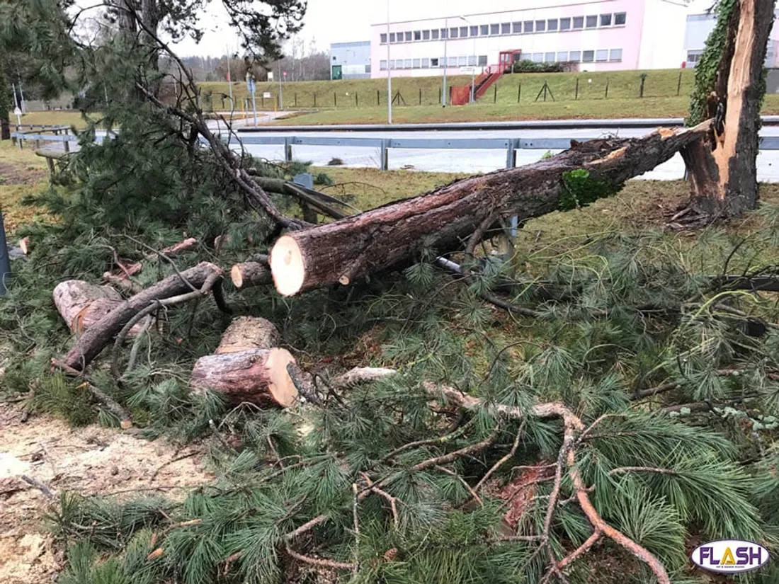 tempête Goretti Limoges Enedis Haute-Vienne Creuse Corrèze coupure electricité FIRE 9 janvier 2026