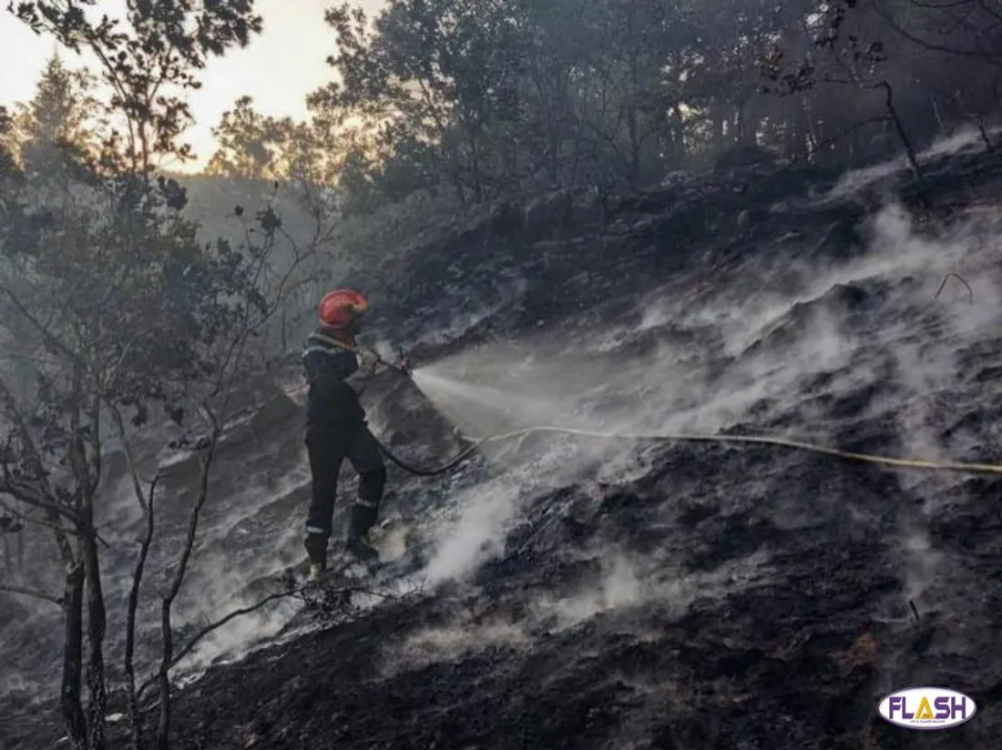 Incendie 10 Juillet 2025 Creuse