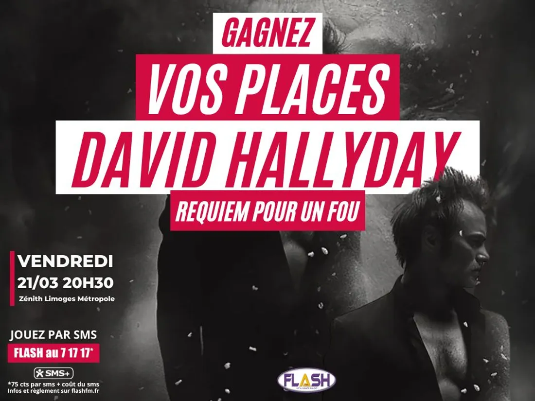 Gagnez vos places avec Flash FM pour le concert de David Hallyday au Zénith Limoges Métropole
