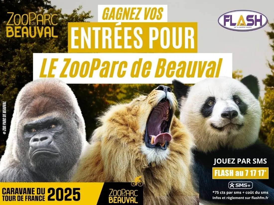 Gagnez avec Flash FM vos invitations pour le ZooParc de Beauval
