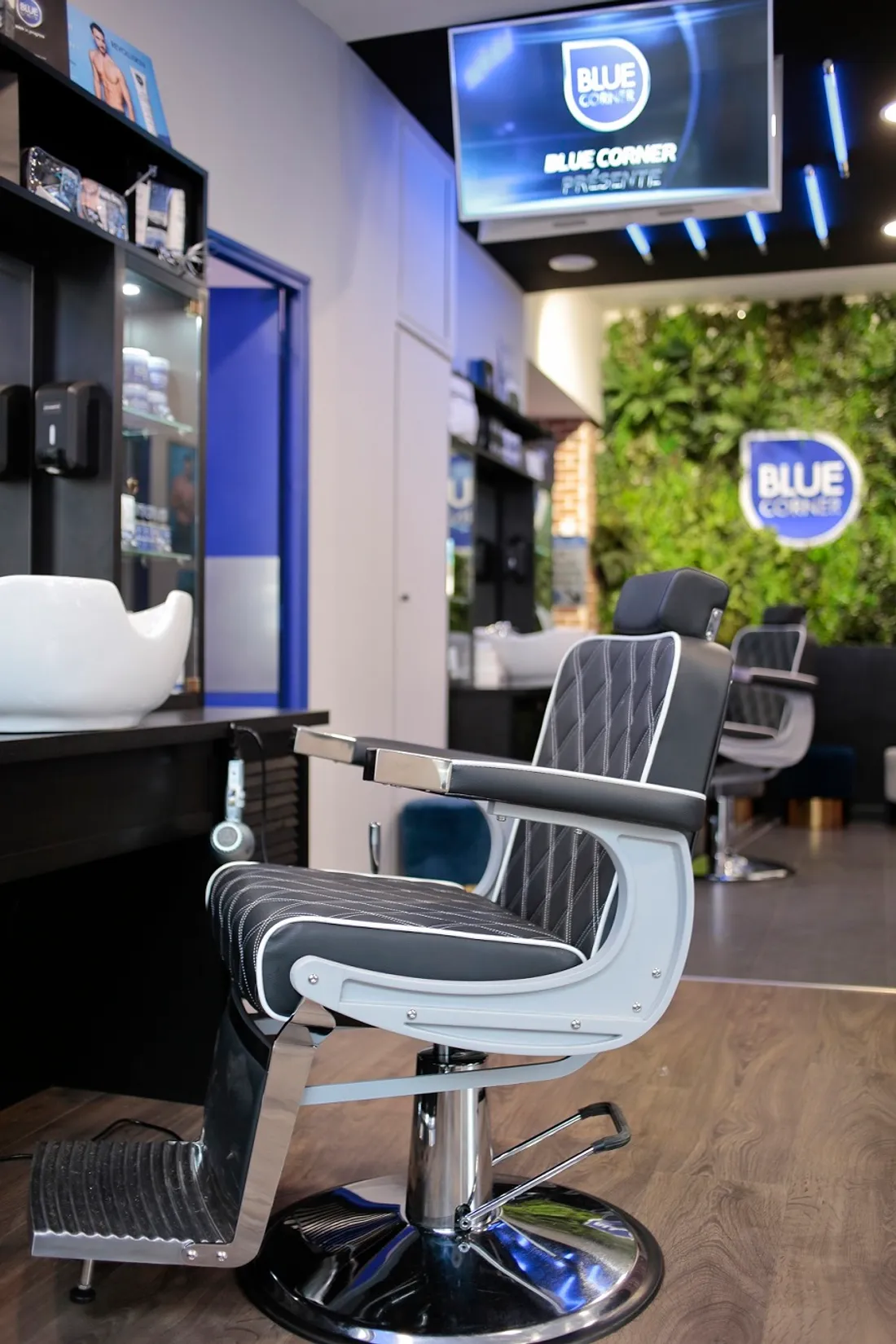 Blue Corner Instituts