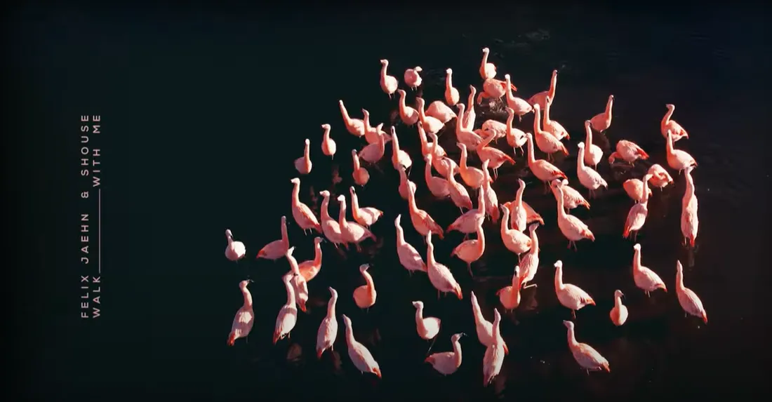 Felix Jaehn, Shouse - Walk With Me