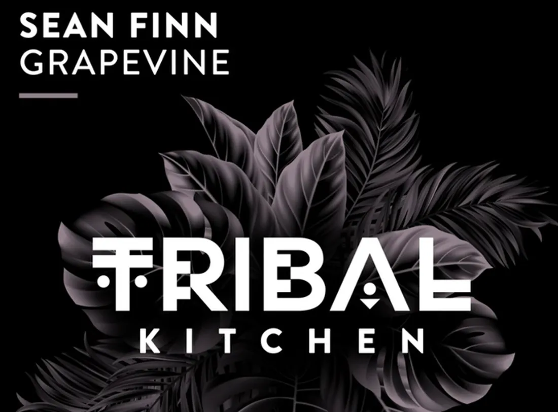 Sean Finn - Grapevine