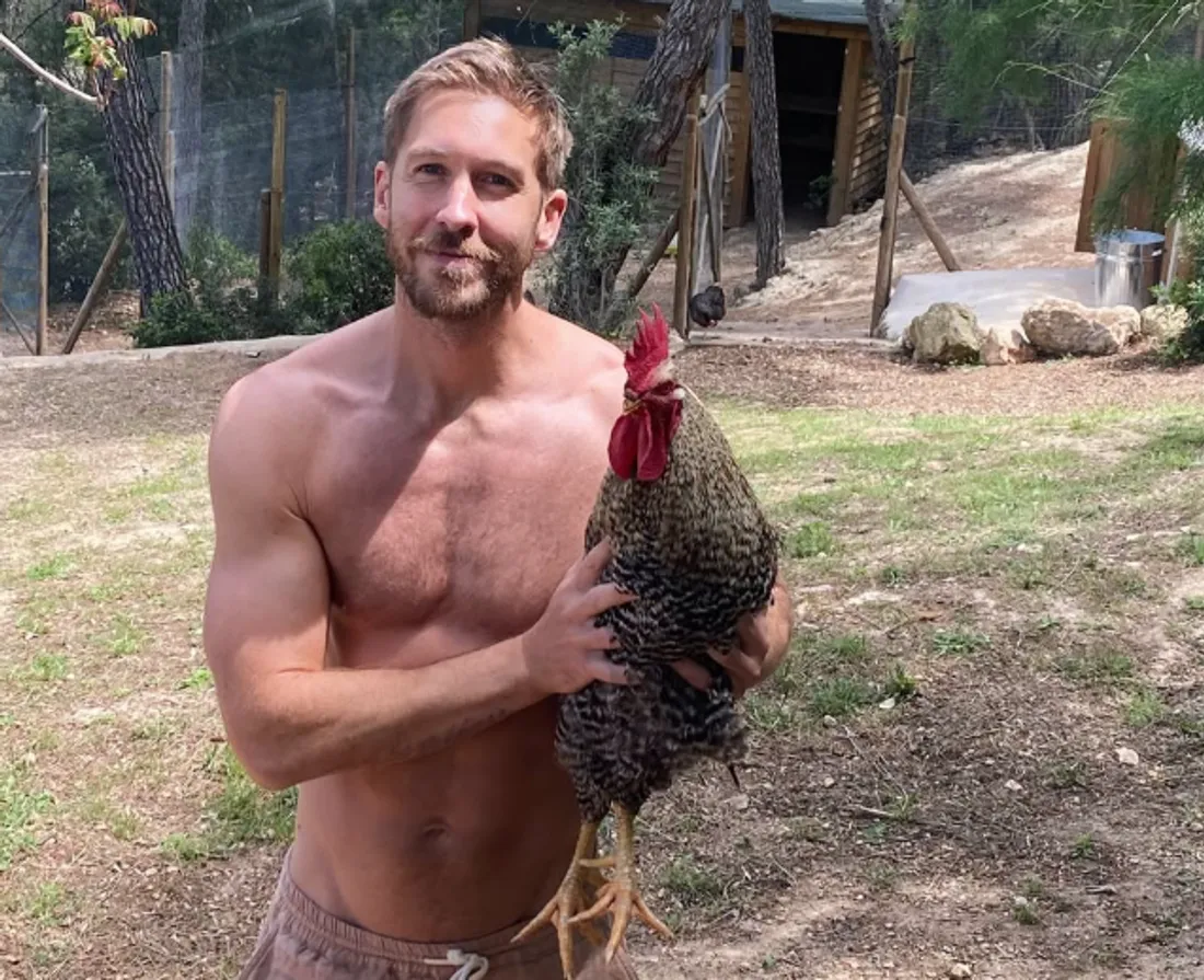 Image d'illustration