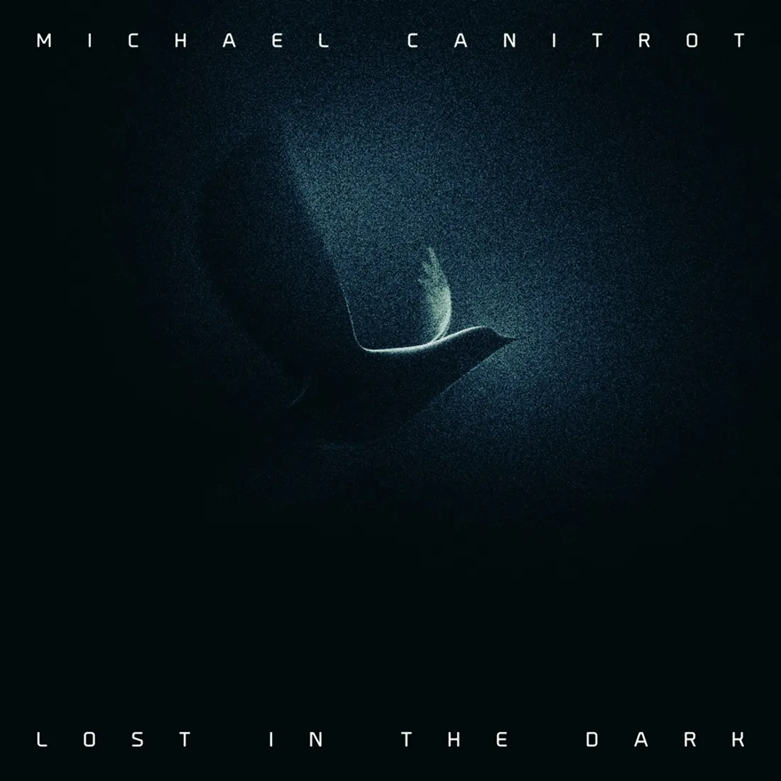 Michael Canitrot