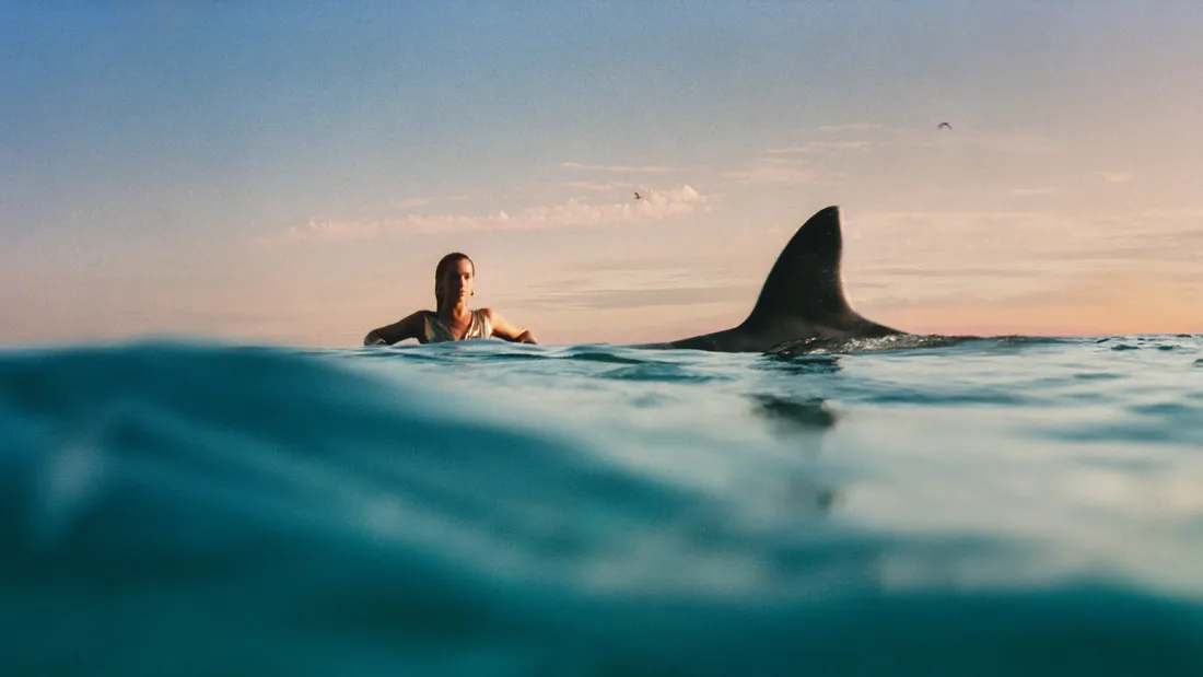  Dua Lipa - Radical Optimism