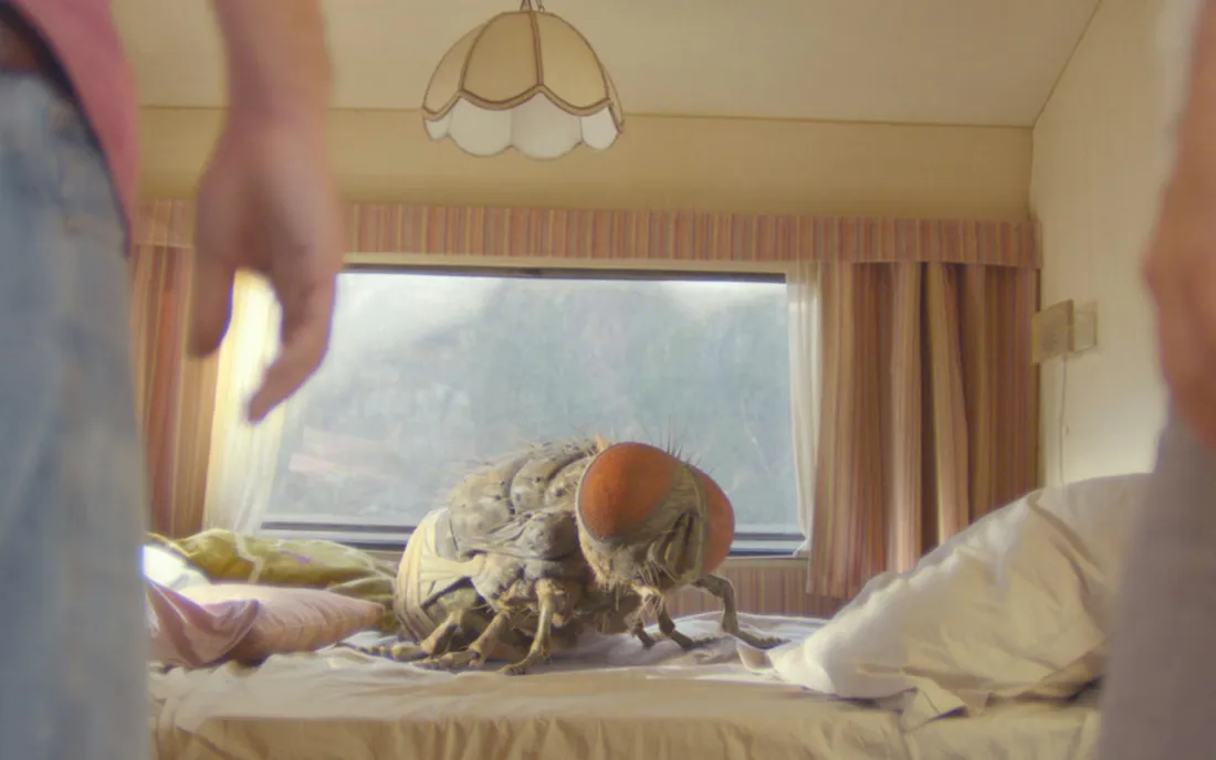 Image d'illustration