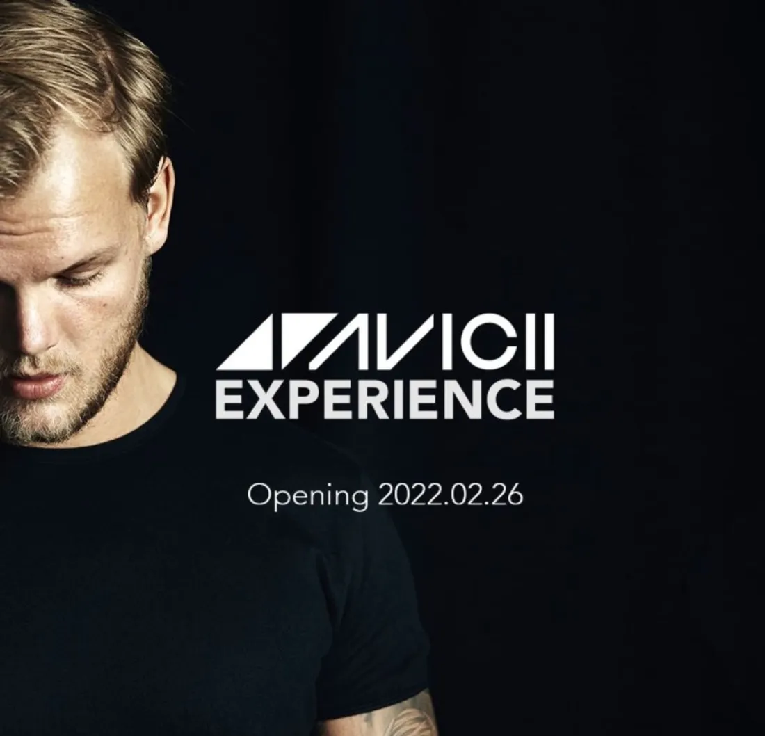 Avicii Experience