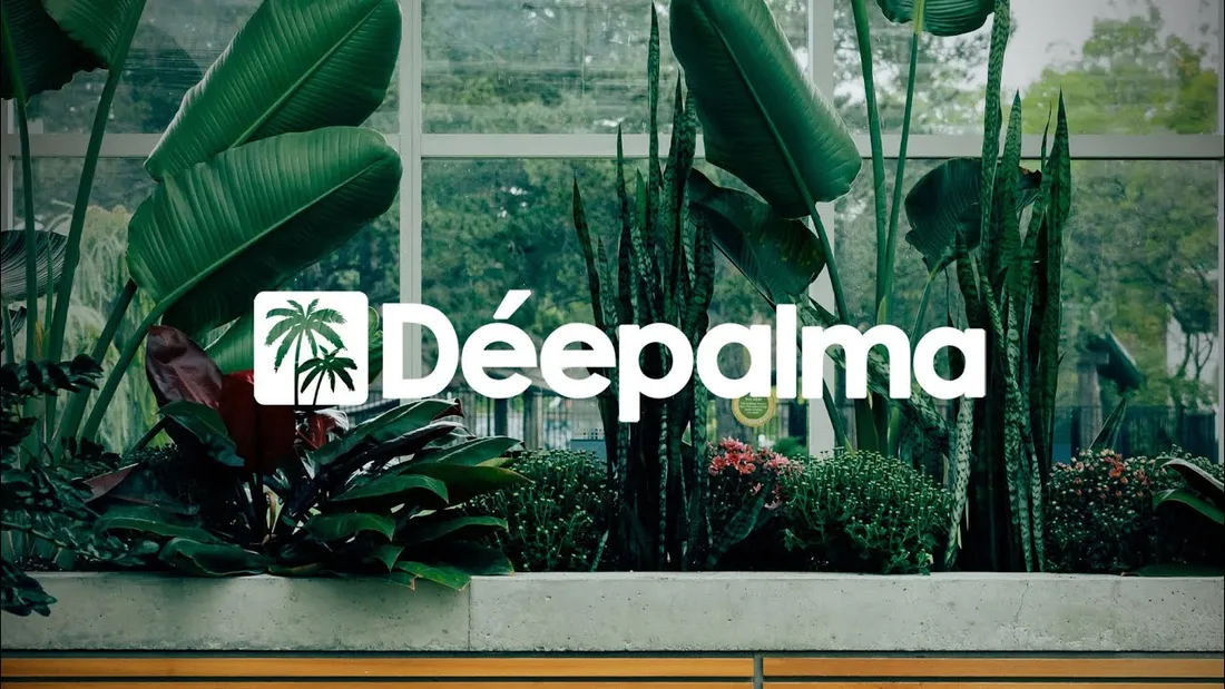 Momo Khani & Meindel featuring StanLei - Lecture