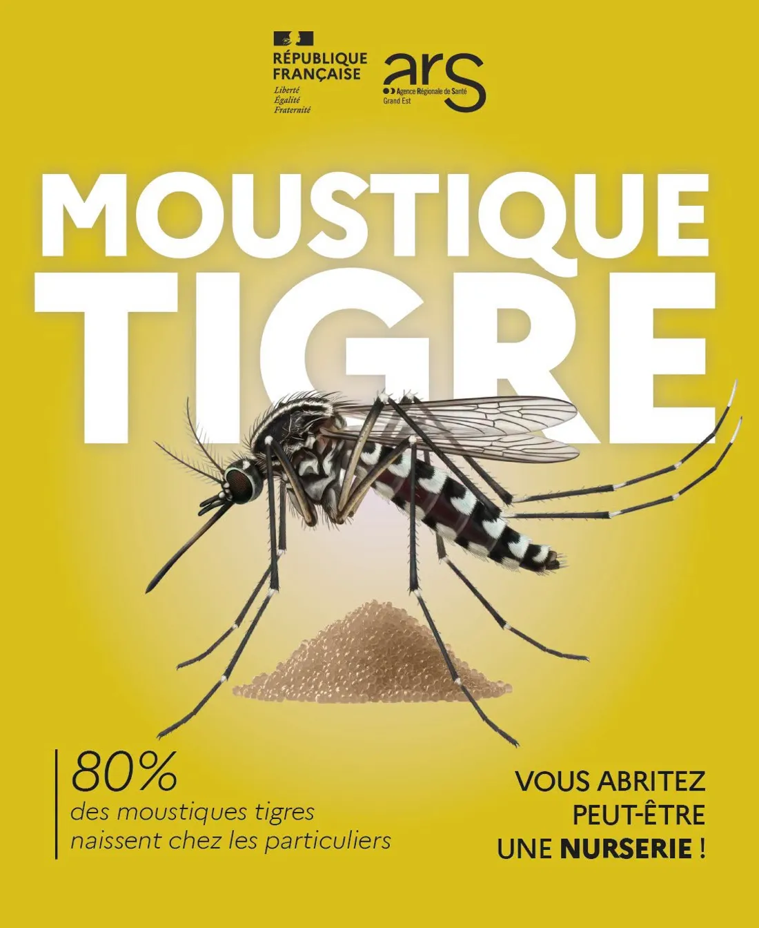 Une opération de démoustication a lieu cette nuit dans cette commune alsacienne