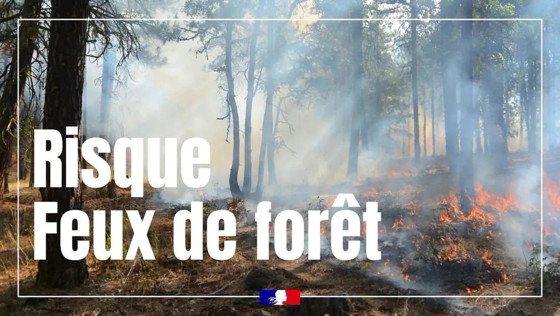 La Meurthe-et-Moselle passe en vigilance modérée concernant les riques de feux de forêt