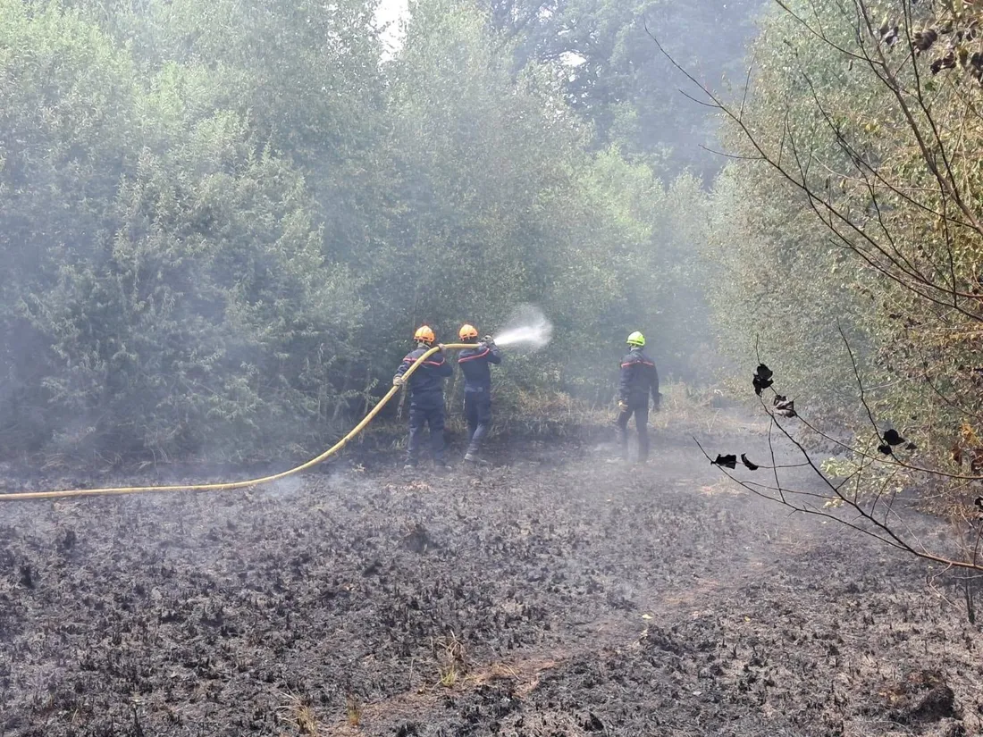 Un incendie a ravagé 1 200 hectares près du lac de Bouzey mardi. 
