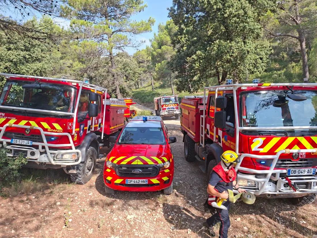 Feu de forêt au Tholy : le sinistre est fixé