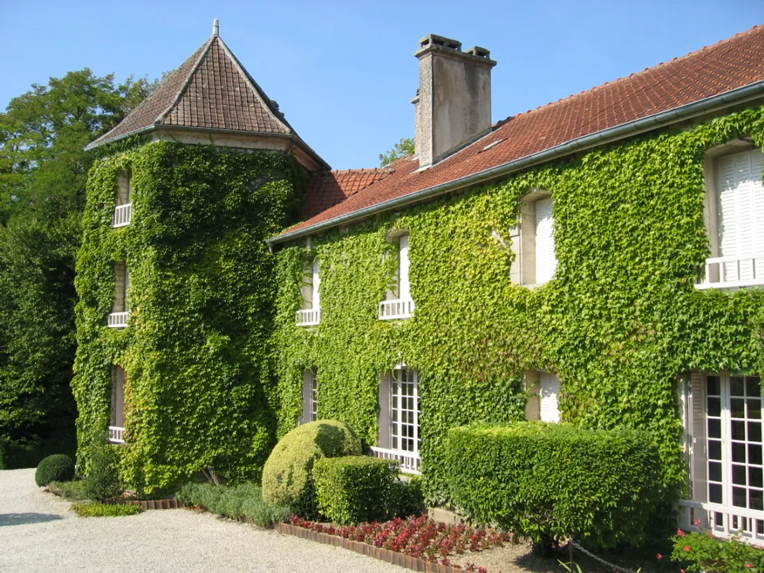 Haute-Marne : une offre à 1,5 million d'euros pour La Boisserie