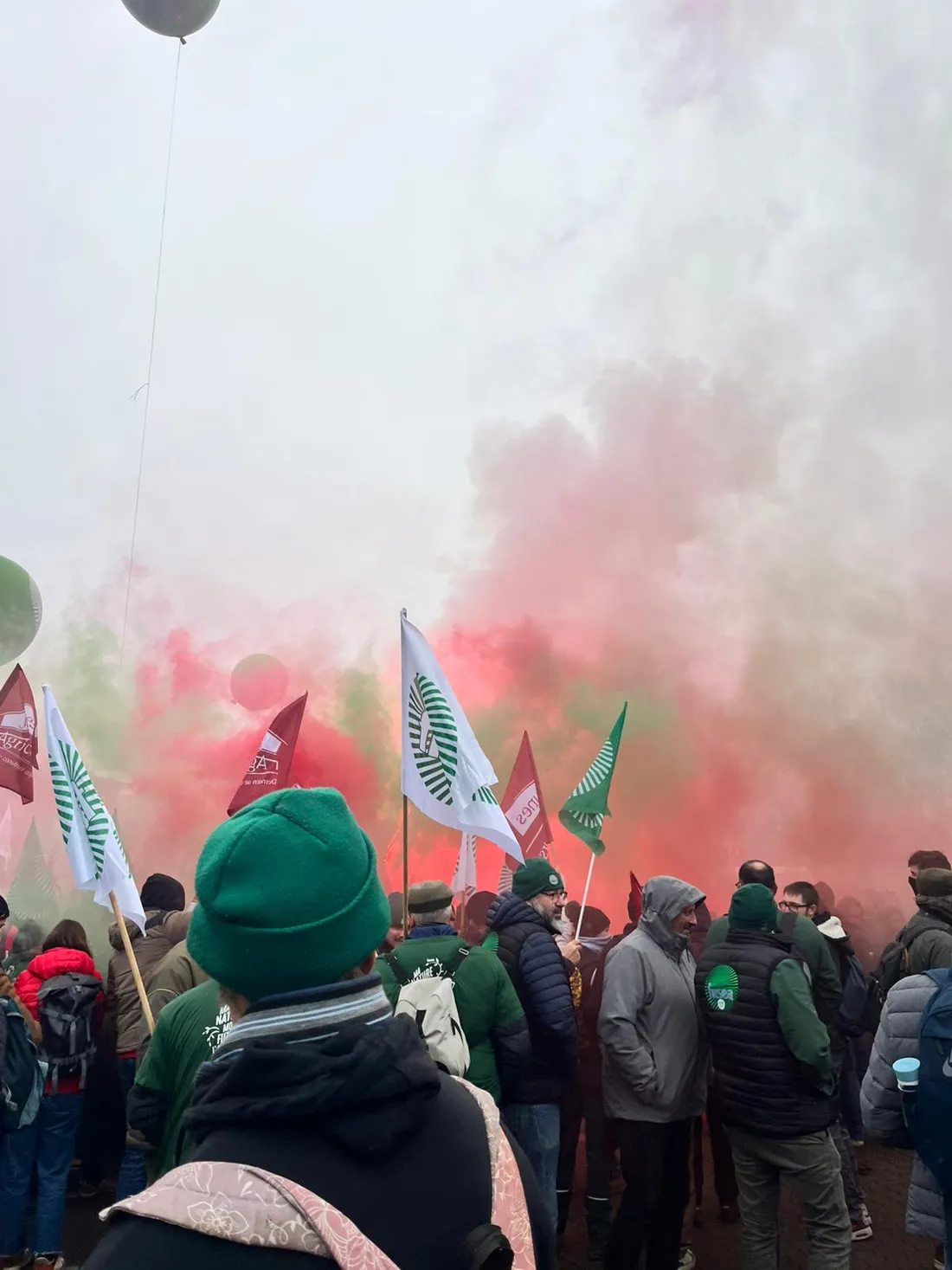 Mobilisation des agriculteurs à Strasbourg