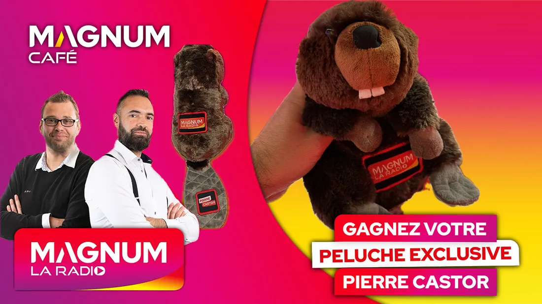 CASTOR JEU
