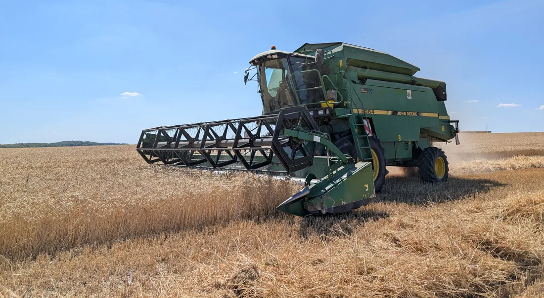 Les horaires des travaux agricoles sont adaptés dans les Vosges en raison de la canicule