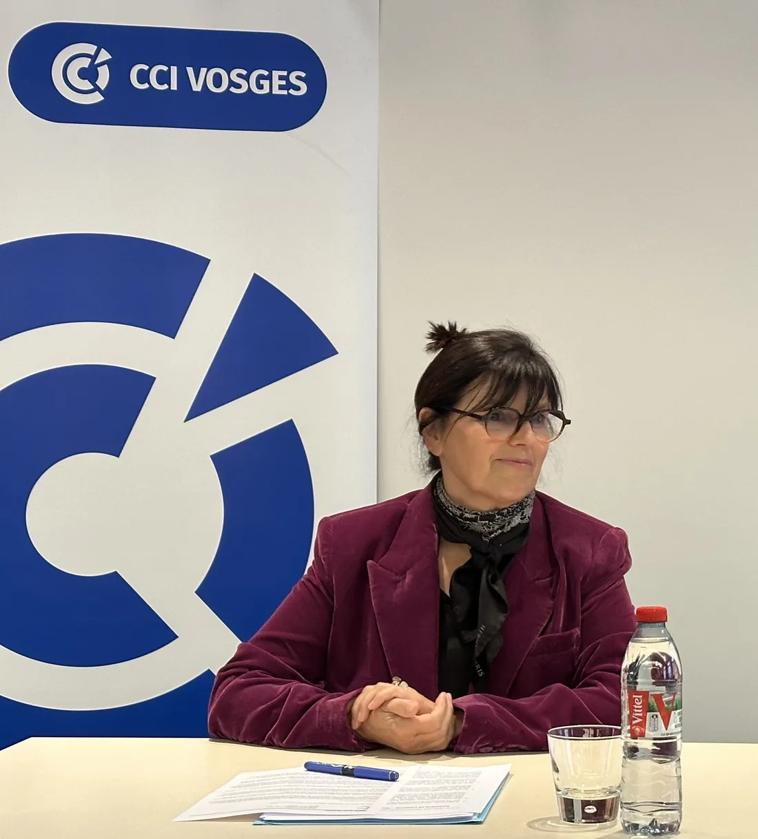 Anne-Christine Frère, présidente de la CCI des Vosges, tire la sonnette d'alarme. 
