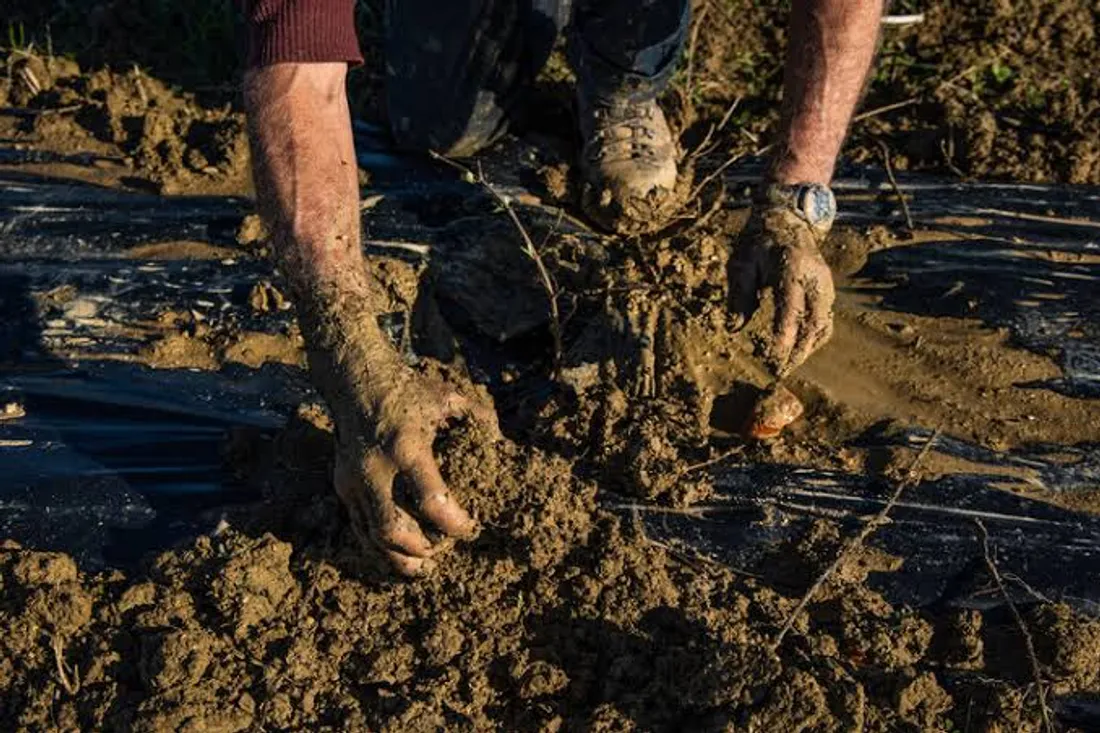 PFAS à Tendon : les sols contaminés jusqu'à 5 000 fois la norme