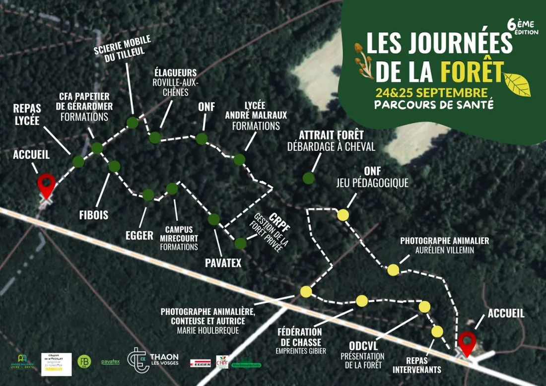 Les Journées de la Forêt s'ouvrent aujourd'hui à Thaon-les-Vosges