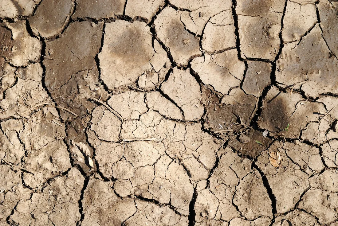 Le préfet des Vosges maintient le département en situation de crise sécheresse