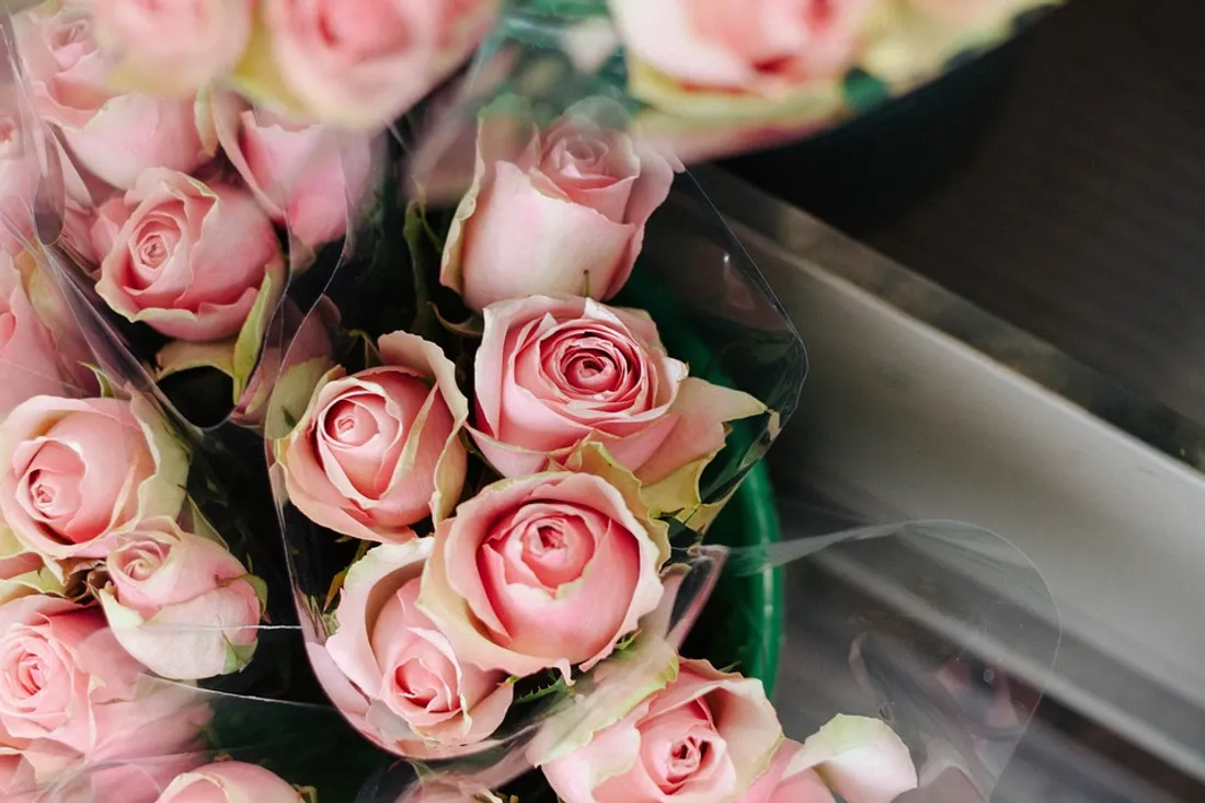 7 000 roses, 86 commerçants, un même élan
