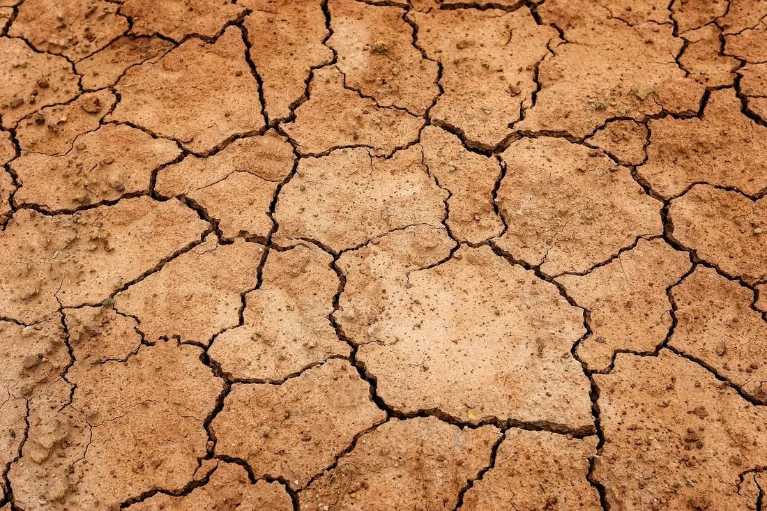 Terre craquelée par la sécheresse