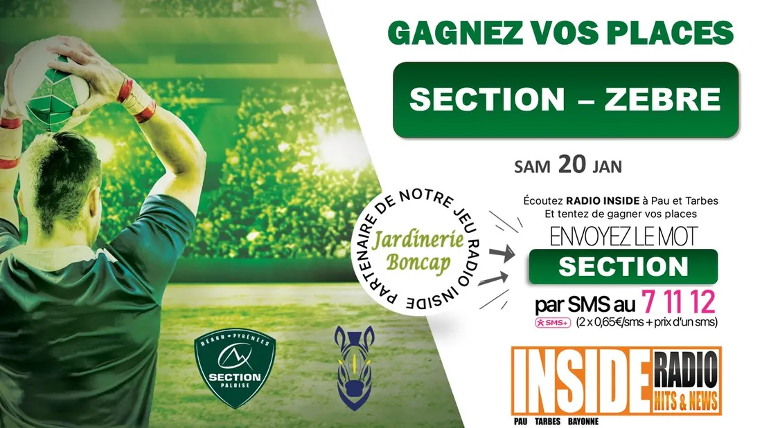section vs zebre