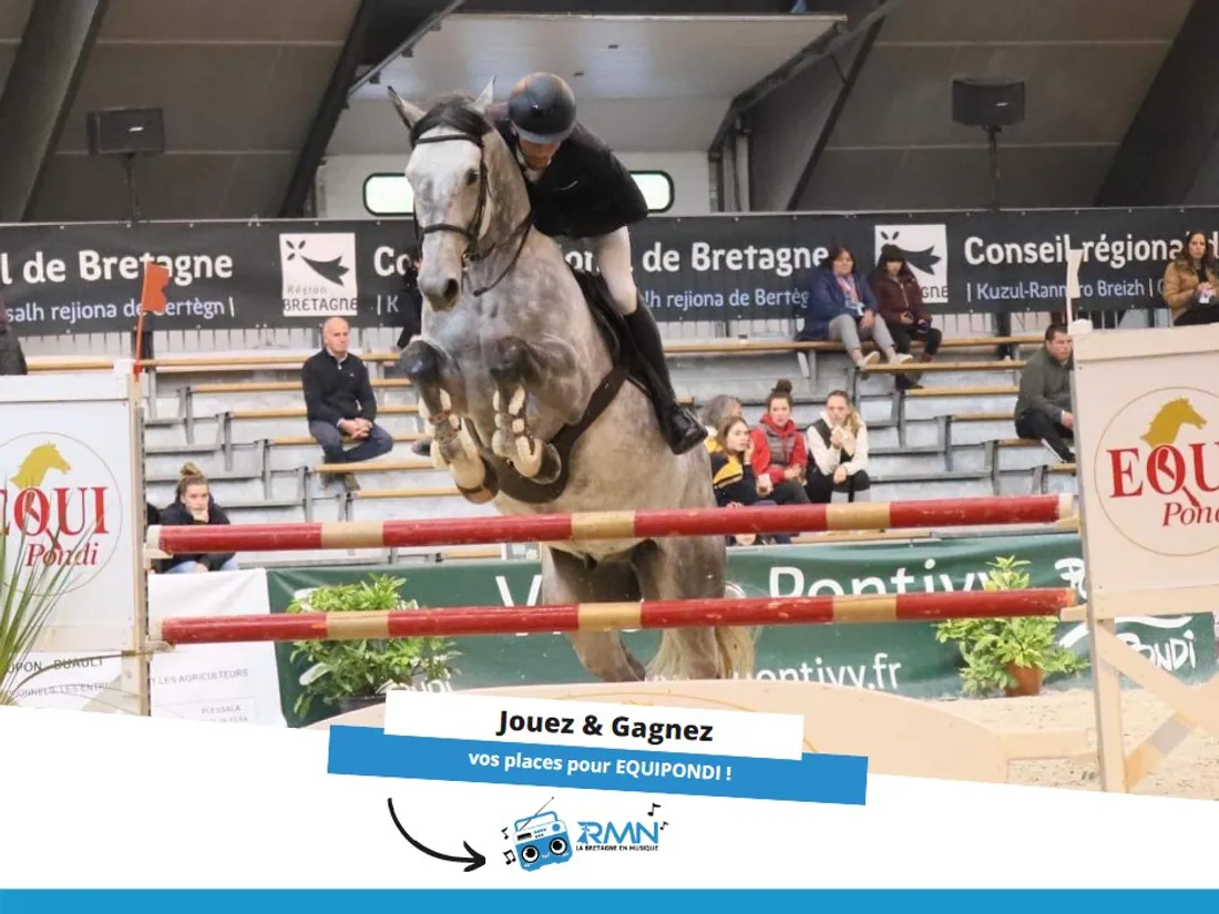 2023-42 Equi Pondi 2023