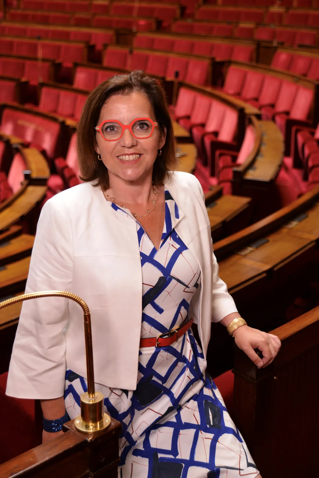 La loi Le Meur - Echaniz a été votée par l'assemblée le 29 janvier dernier